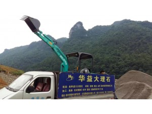 重慶客戶購(gòu)買的德力15-9挖掘機(jī)